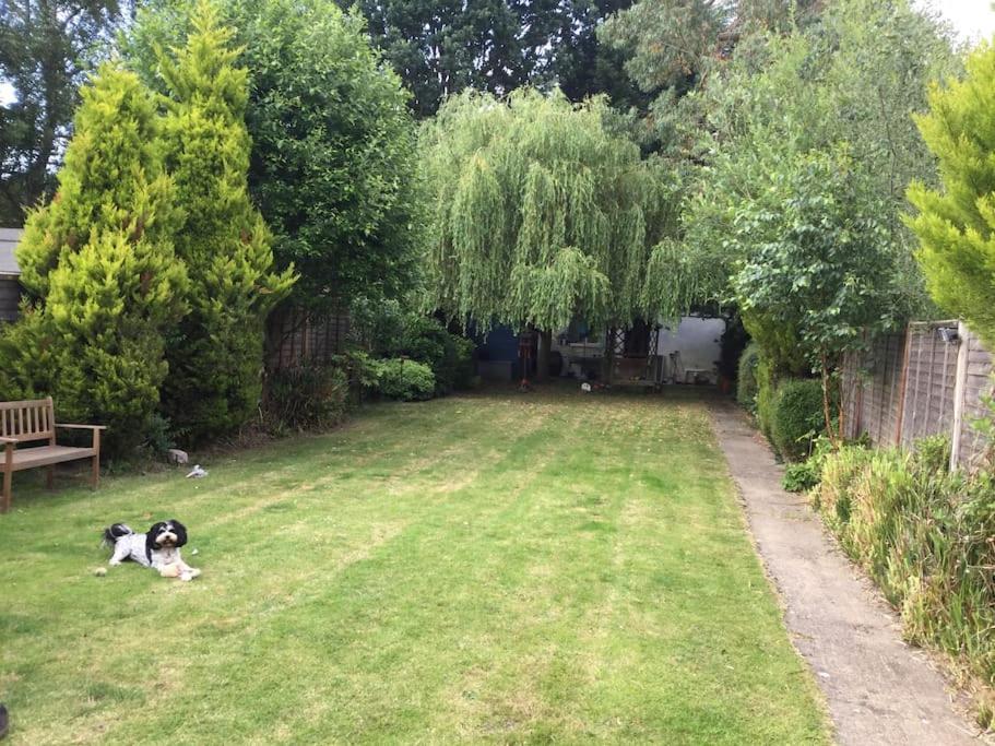 The Studio, Ascot Winkfield Exterior photo